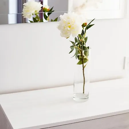 Beautiful In The Center Lvov