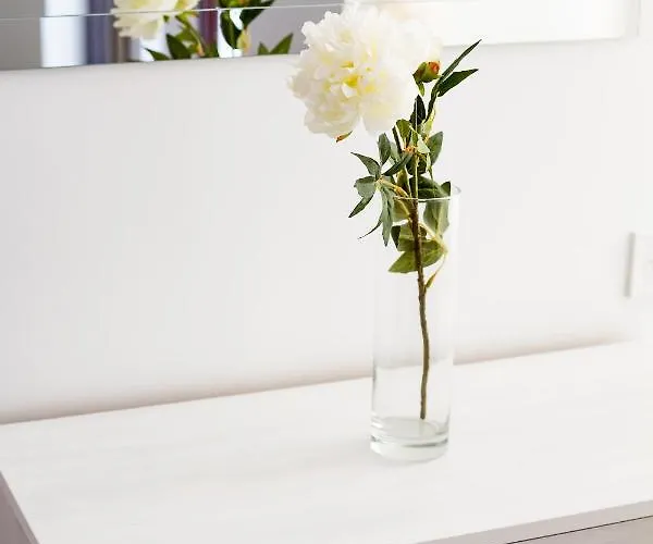 Beautiful In The Center Lvov